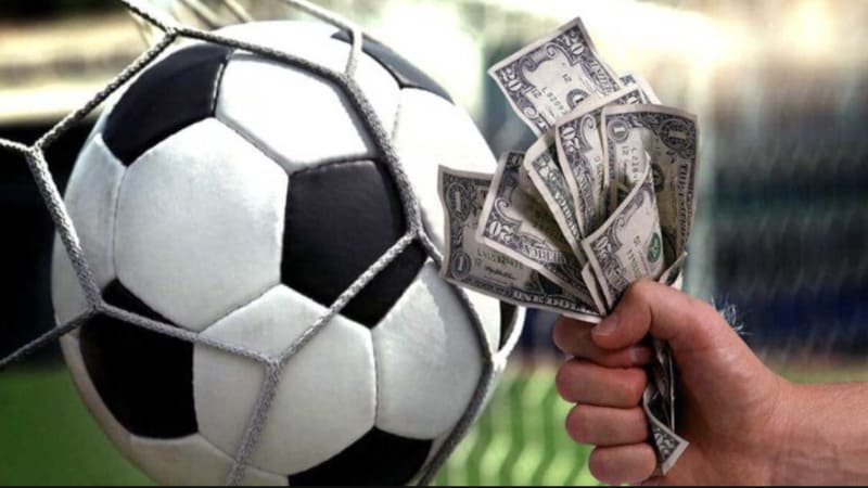 Phân tích chuyên sâu: Khi nào nên chọn cửa trên hay cửa dưới?