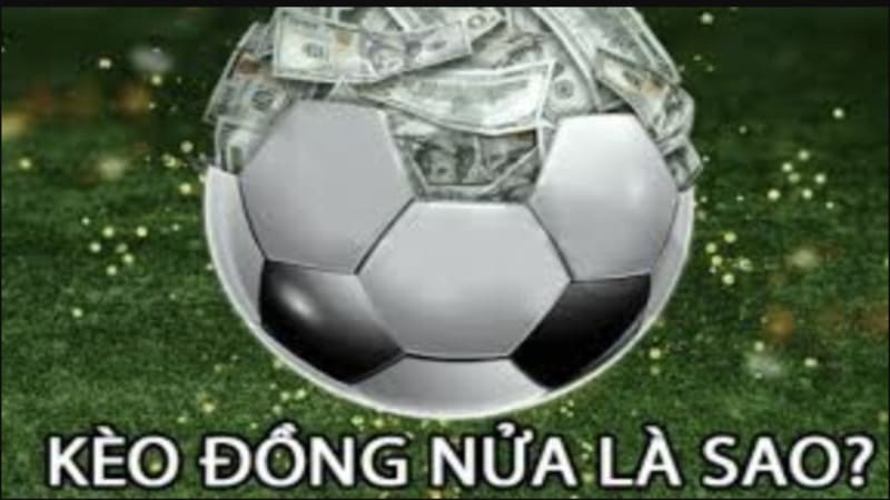 Giải thích chi tiết: Kèo đồng nửa là sao?